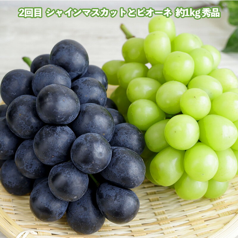 【ふるさと納税】【定期便3回】どれも美味しい 山形フルーツ 贅沢5種便【令和8年産先行予約】FS25-122 サムネイル3