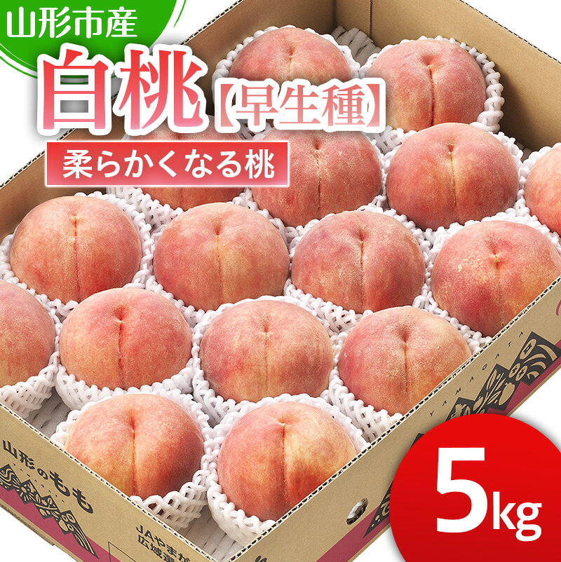 山形市産 白桃【早生種】「三郷・まどか・陽夏妃」柔らかくなる桃 5kg (13玉～18玉)【令和8年産先行予約】FS25-125