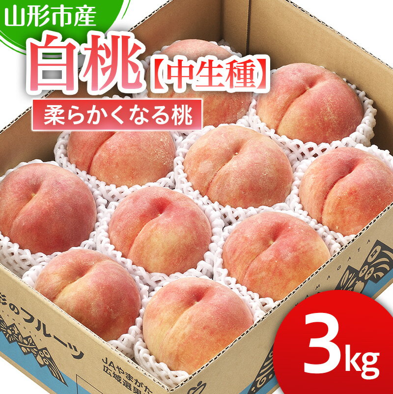山形市産 白桃 【中生種】「かぐや・ゆうぞら・あぶくま」柔らかくなる桃3kg (8～11玉)【令和8年産先行予約】FS25-126