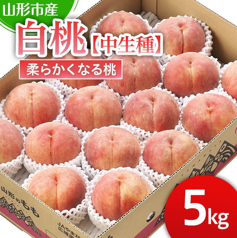 山形市産 白桃 【中生種】「かぐや・ゆうぞら・あぶくま」柔らかくなる桃5kg (13～18玉)【令和8年産先行予約】FS25-127