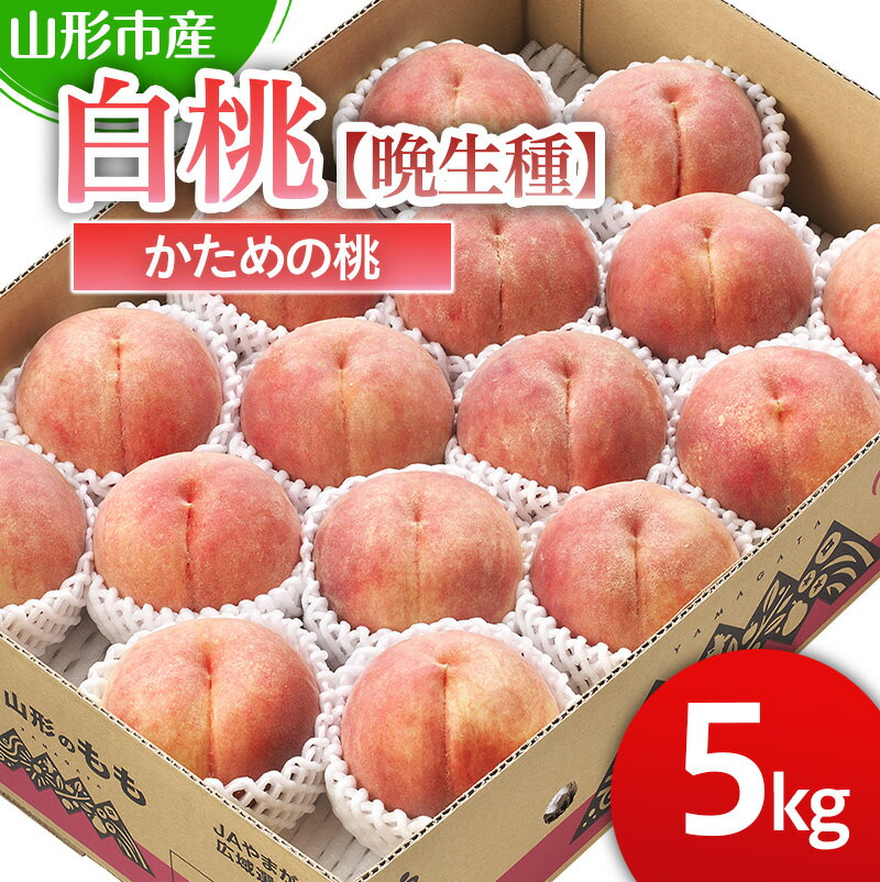 山形市産 白桃 【晩成種】「伊達白桃・白根白桃・伊達白桃」かための桃5kg 12～18玉【令和8年産先行予約】FS25-129
