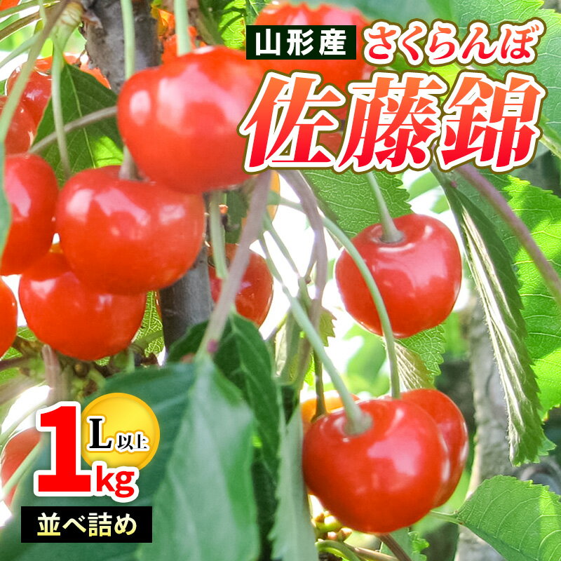 山形産 さくらんぼ佐藤錦 特秀 1kg 並べ詰め L以上 【令和8年産先行予約】FS25-502 くだもの 果物 フルーツ 山形 山形県 山形市 お取り寄せ 2026年産