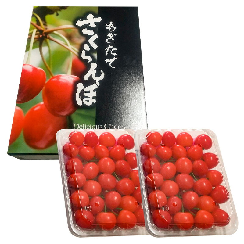 【ふるさと納税】山形産 さくらんぼ 佐藤錦 L 600g(300g×2パック入) 【令和8年産先行予約】FS25-506 くだもの 果物 フルーツ 山形 山形県 山形市 お取り寄せ 2026年産 サムネイル2