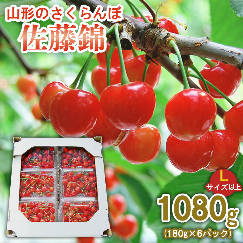 山形のさくらんぼ 佐藤錦 1080g (180g×6パック) Lサイズ以上 【令和8年産先行予約】FS25-514 くだもの 果物 フルーツ 山形 山形県 山形市 お取り寄せ 2026年産