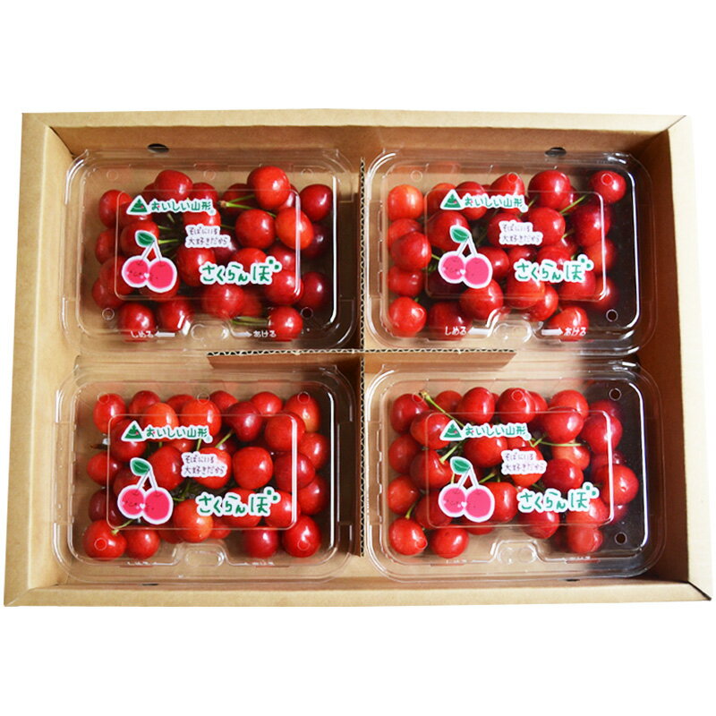 【ふるさと納税】山形のさくらんぼ 紅てまり Lサイズ以上 720g(180g×4) 【令和8年産先行予約】FS25-524 くだもの 果物 フルーツ 山形 山形県 山形市 お取り寄せ 2026年産 サムネイル2