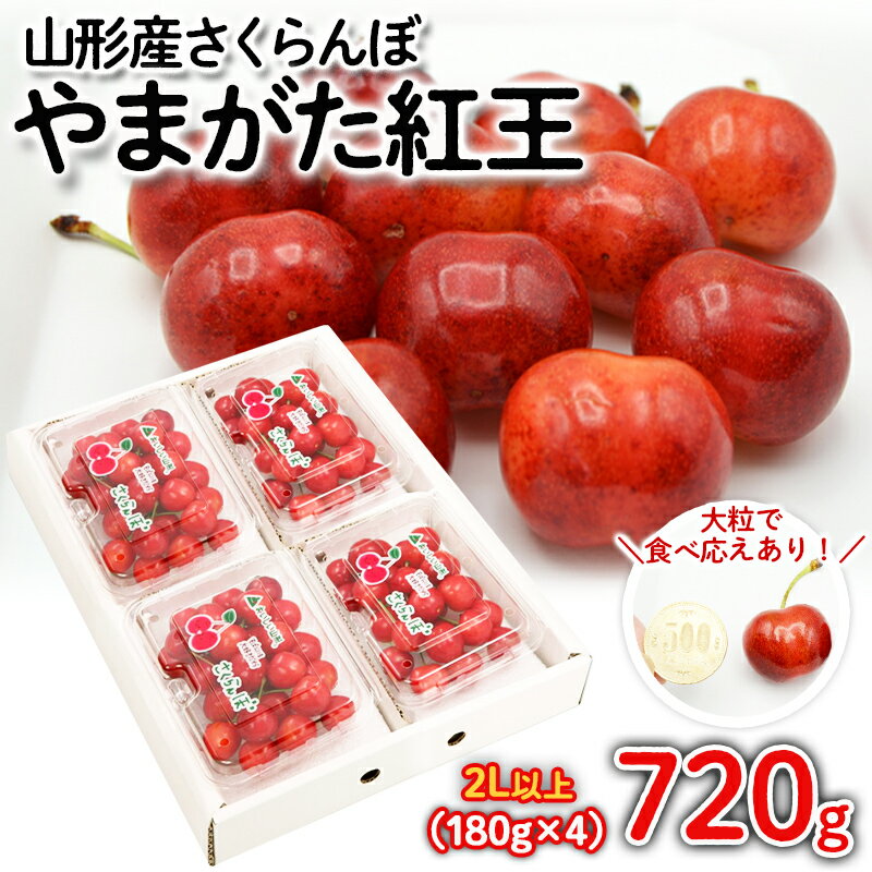 さくらんぼ やまがた紅王 720g(180g×4パック) 2Lサイズ以上 【令和8年産先行予約】FS25-528 くだもの 果物 フルーツ 山形 山形県 山形市 お取り寄せ 2026年産