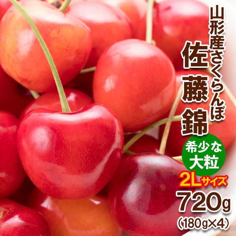 さくらんぼ 佐藤錦”希少な大粒” 2Lサイズ 720g(180g×4パック) 【令和8年産先行予約】FS25-569 くだもの 果物 フルーツ 山形 山形県 山形市 お取り寄せ 2026年産