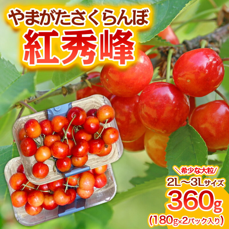 やまがた さくらんぼ 紅秀峰 "希少な大粒" 2L〜3Lサイズ 360g(180g×2パック入り) 1箱【令和8年産先行予約】FS25-574 くだもの 果物 フルーツ 山形 山形県 山形市 お取り寄せ 2026年産