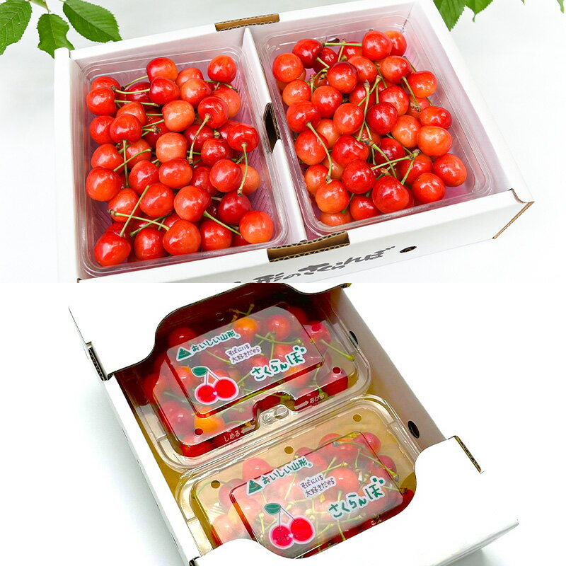 【ふるさと納税】【定期便5回】スペシャル宝箱便 【令和8年産先行予約】FS25-616 くだもの 果物 フルーツ 山形 山形県 山形市 お取り寄せ 2026年産 サムネイル2