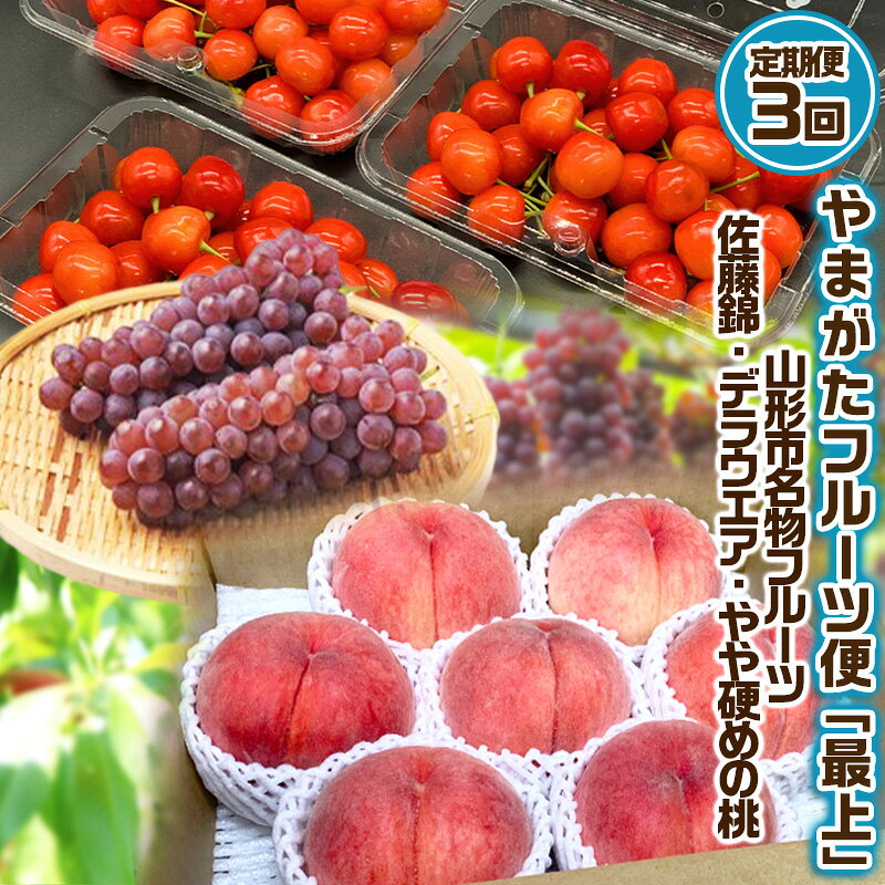【定期便3回】やまがた フルーツ定期便 ”最上” 山形名物フルーツ [佐藤錦・デラウェア・やや硬め白桃] 【令和8年産先行予約】FS25-630 くだもの 果物 フルーツ 山形 山形県 山形市 お取り寄せ 2026年産