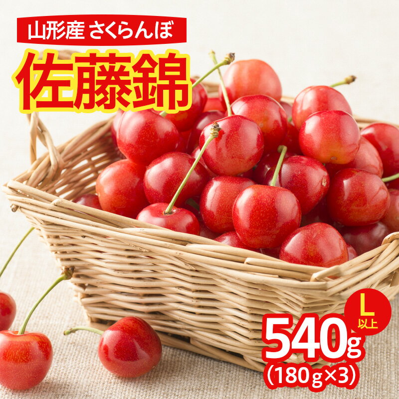 さくらんぼ 佐藤錦 540g(180g×3パック)L以上 フードパック 【令和8年産先行予約】FS25-638 くだもの 果物 フルーツ 山形 山形県 山形市 お取り寄せ 2026年産