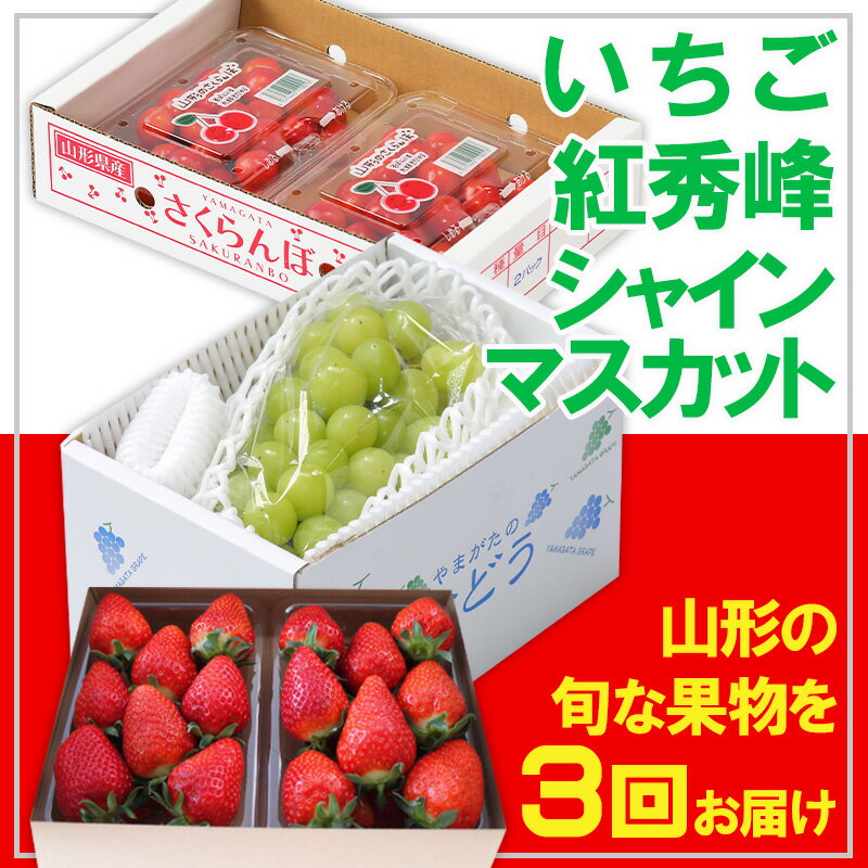 【定期便3回】☆フルーツ王国山形☆いちご・紅秀峰・シャインマスカット 【令和8年産先行予約】FS25-666 くだもの 果物 フルーツ 山形 山形県 山形市 お取り寄せ 2026年産
