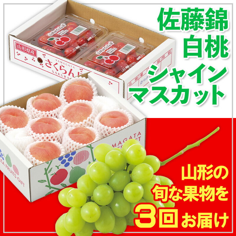 【定期便3回】☆フルーツ王国山形☆佐藤錦・白桃・シャインマスカット 【令和8年産先行予約】FS25-673 くだもの 果物 フルーツ 山形 山形県 山形市 お取り寄せ 2026年産
