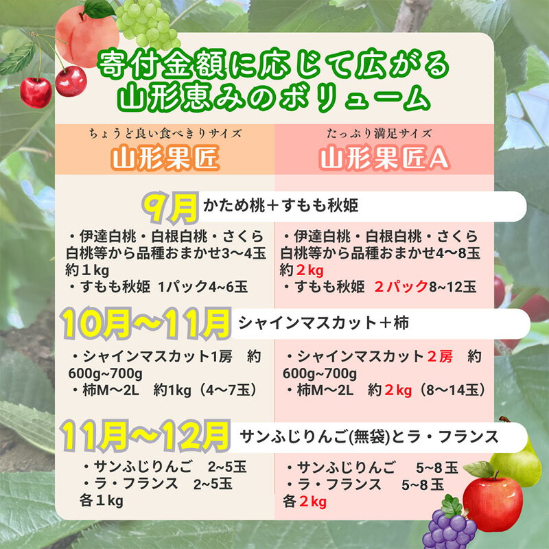 【ふるさと納税】【定期便3回】山形果匠【旬のよりどり定期便】全3回 1回で2種味わえる楽しみ【令和8年産先行予約】FS25-088 サムネイル2