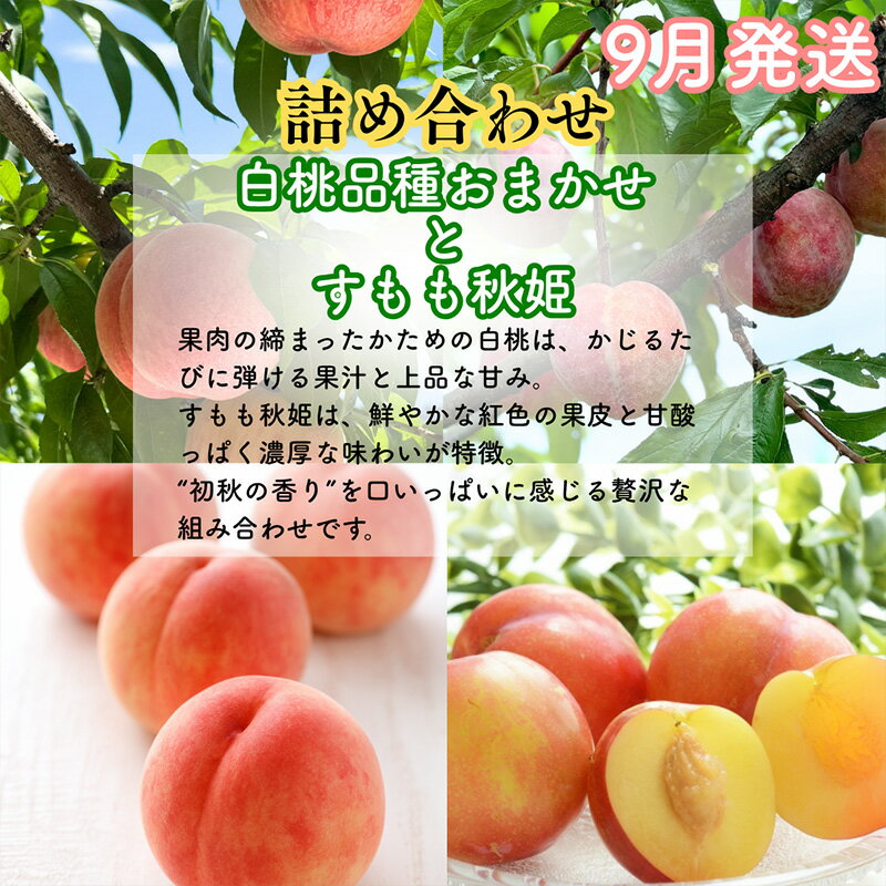 【ふるさと納税】【定期便3回】山形果匠【旬のよりどり定期便】全3回 1回で2種味わえる楽しみ【令和8年産先行予約】FS25-088 サムネイル3