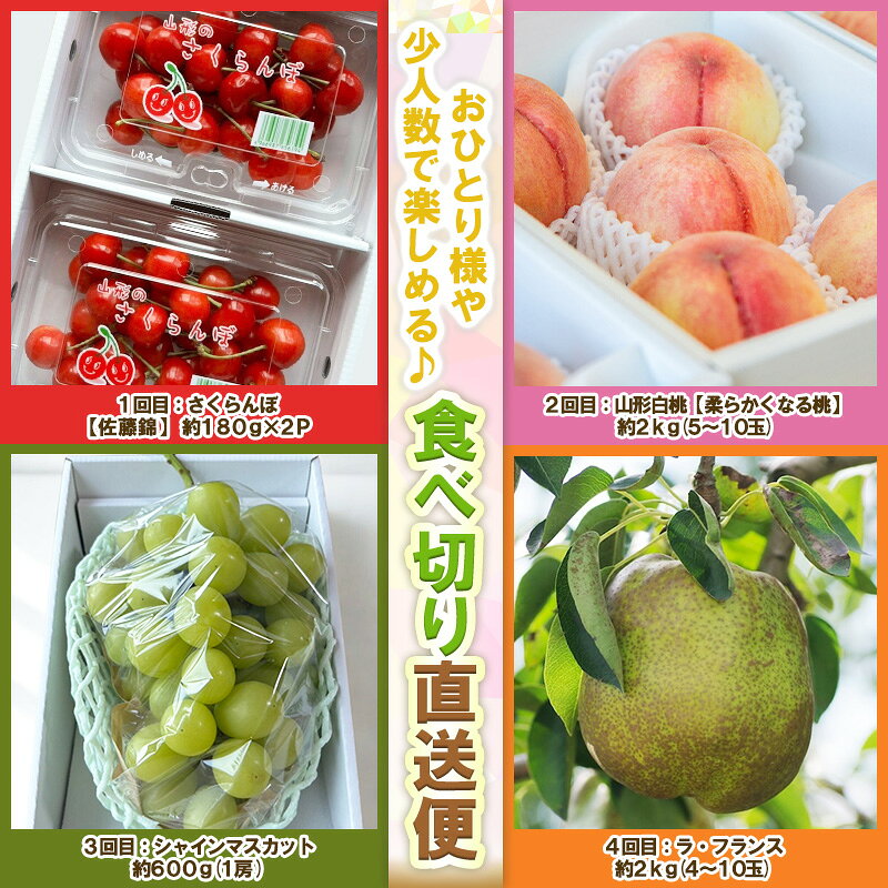 【ふるさと納税】【定期便4回】ノノハナフルーツ 山形人気のフルーツ 直送便【令和8年産先行予約】FS25-069 FS25-070 FS25-071 サムネイル2