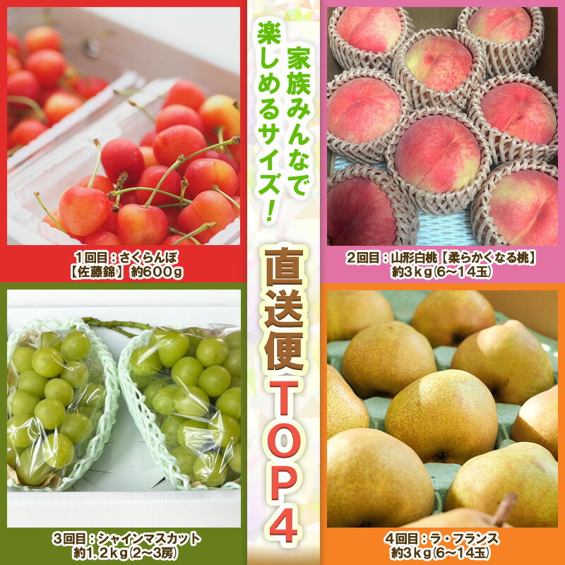 【ふるさと納税】【定期便4回】ノノハナフルーツ 山形人気のフルーツ 直送便【令和8年産先行予約】FS25-069 FS25-070 FS25-071 サムネイル3