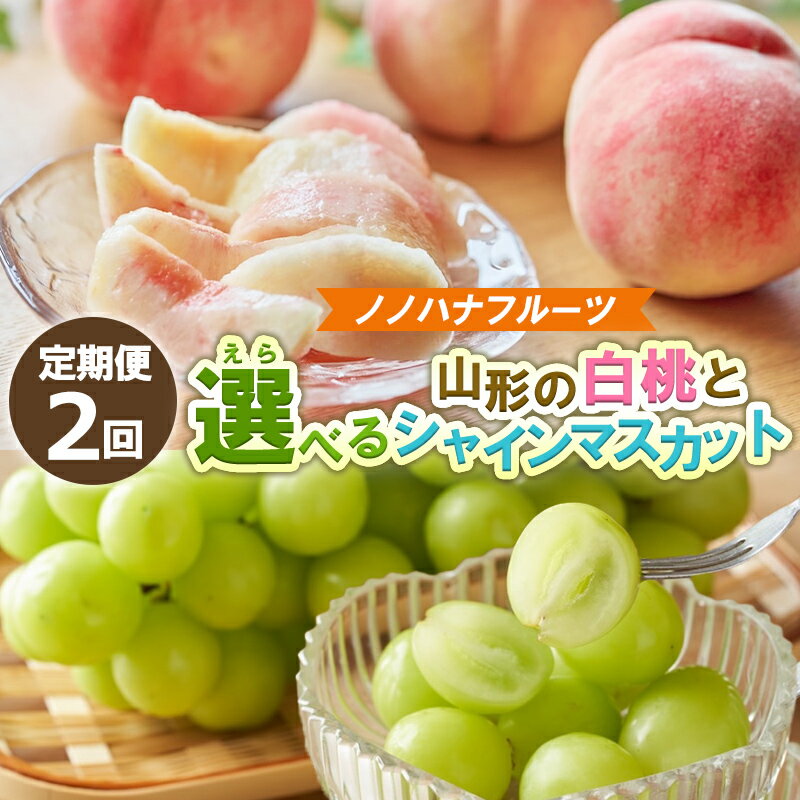 【定期便2回】選べる 桃とシャインマスカット 【令和8年産先行予約】FS25-073 FS25-074 FS25-075
