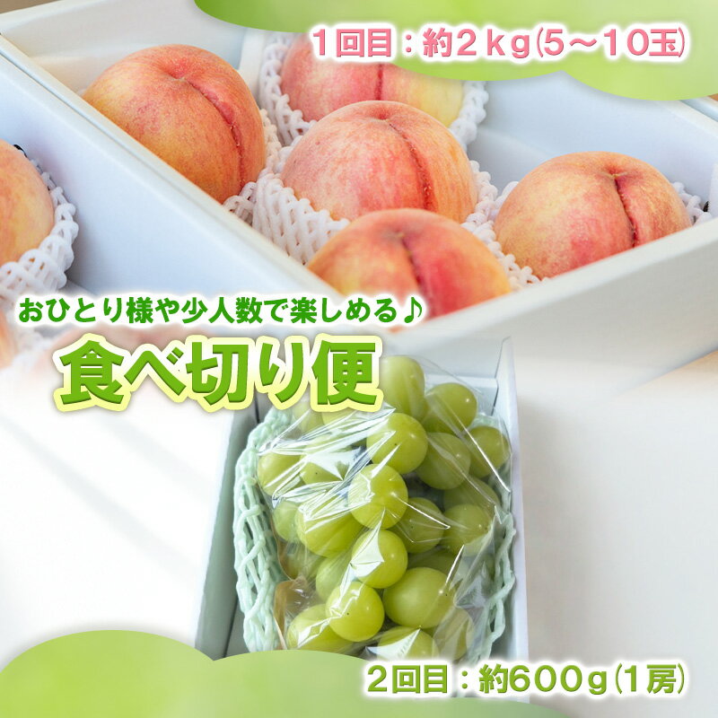 【ふるさと納税】【定期便2回】選べる 桃とシャインマスカット 【令和8年産先行予約】FS25-073 FS25-074 FS25-075 サムネイル2