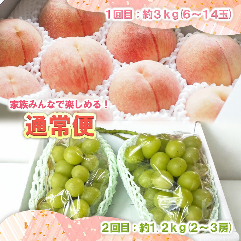 【ふるさと納税】【定期便2回】選べる 桃とシャインマスカット 【令和8年産先行予約】FS25-073 FS25-074 FS25-075 サムネイル3