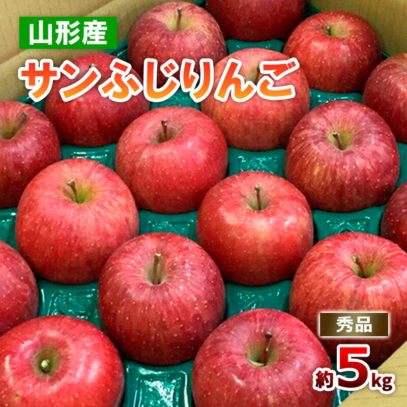 山形のサンふじりんご 秀品 約5kg(10〜25玉) リンゴ 林檎 フルーツ 果物 お取り寄せ FZ18-211