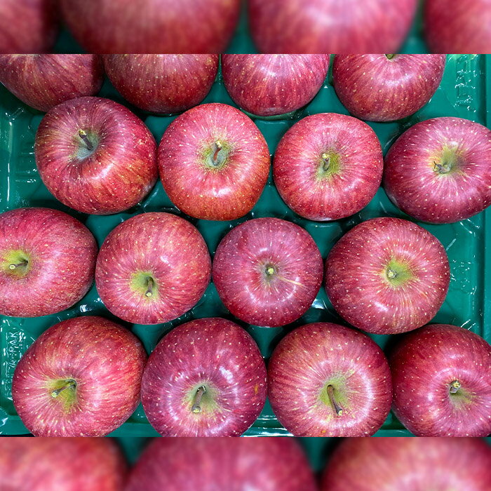 【ふるさと納税】サンふじりんご 無袋 秀品5kg(14玉〜20玉) FY25-902 サムネイル2