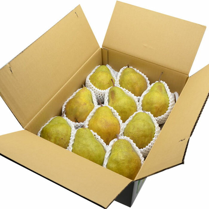 【ふるさと納税】山形の洋梨 シルバーベル 秀品 約5kg(6〜20玉) fz23-312 サムネイル3