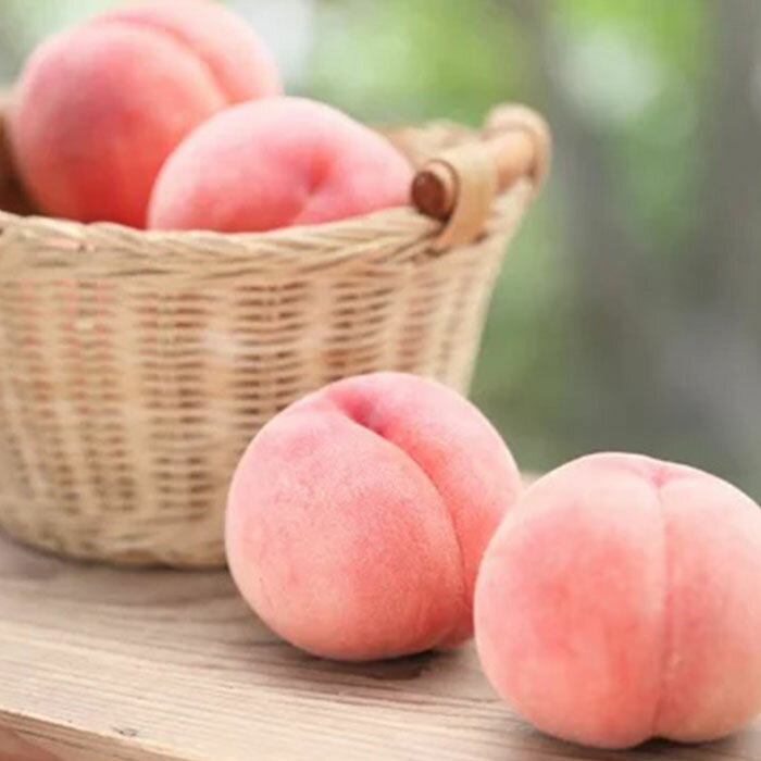 【ふるさと納税】山形産 白桃 秀 3kg(8玉〜14玉)【令和8年産先行予約】FU23-315くだもの 果物 フルーツ 山形 山形県 山形市 お取り寄せ 先行予約 2026年産 - 画像2