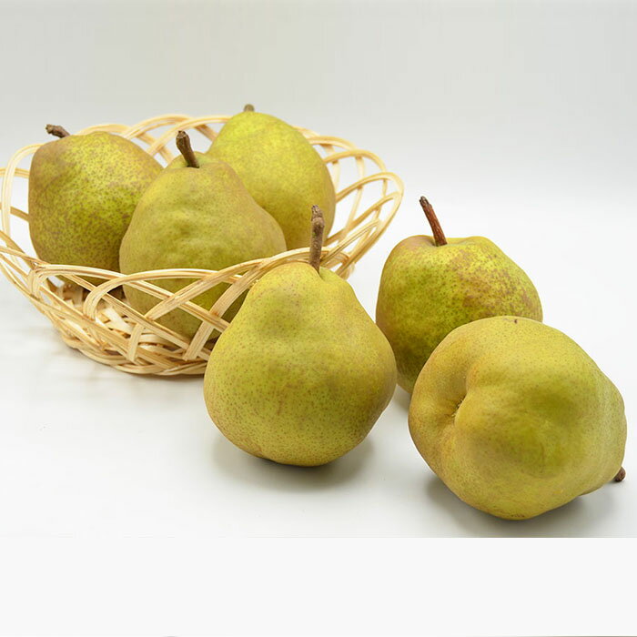 【ふるさと納税】【特秀】山形の極上 ラフランス 特秀品 約5kg(12〜16玉) fz23-319 洋梨 ラ・フランス 果物 くだもの フルーツ お取り寄せ 送料無料 洋なし サムネイル2