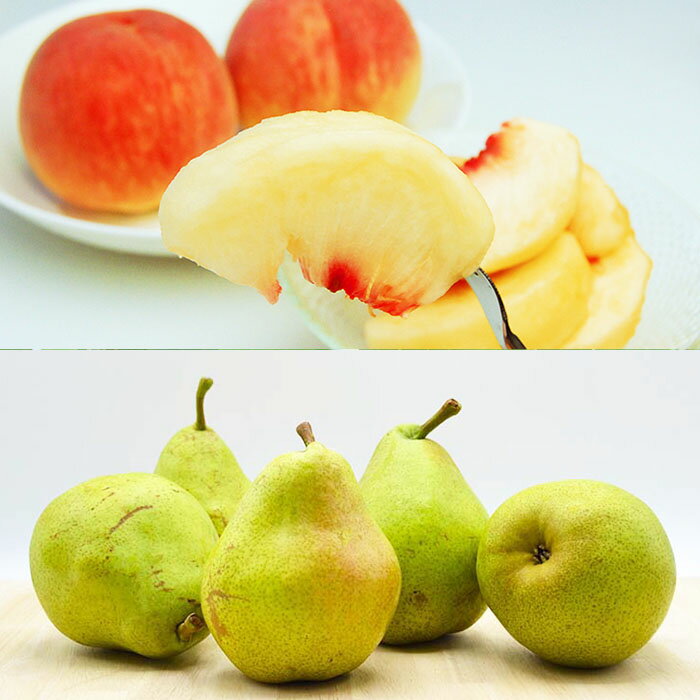 【ふるさと納税】★定期便8回★【6月から毎月届く】山形のフルーツまるごと定期便 【令和8年産先行予約】FS25-637 くだもの 果物 フルーツ 山形 山形県 山形市 お取り寄せ 2026年産 サムネイル3