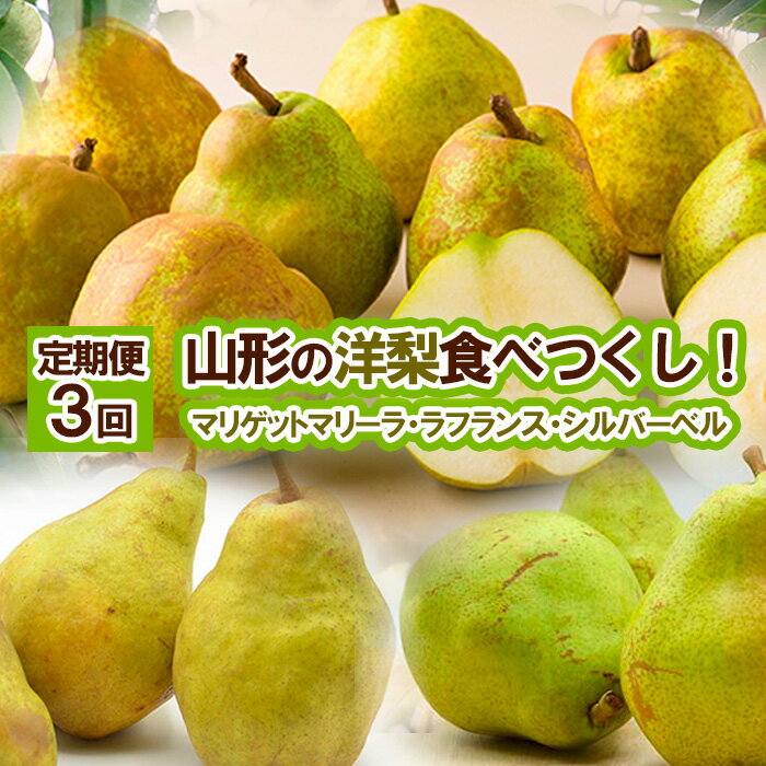 ★定期便3回★山形の洋梨食べつくし！(マリゲットマリーラ・ラフランス・シルバーベル) 【令和8年産先行予約】FS25-688くだもの 果物 フルーツ 山形 山形県 山形市 お取り寄せ 先行予約 2026年産