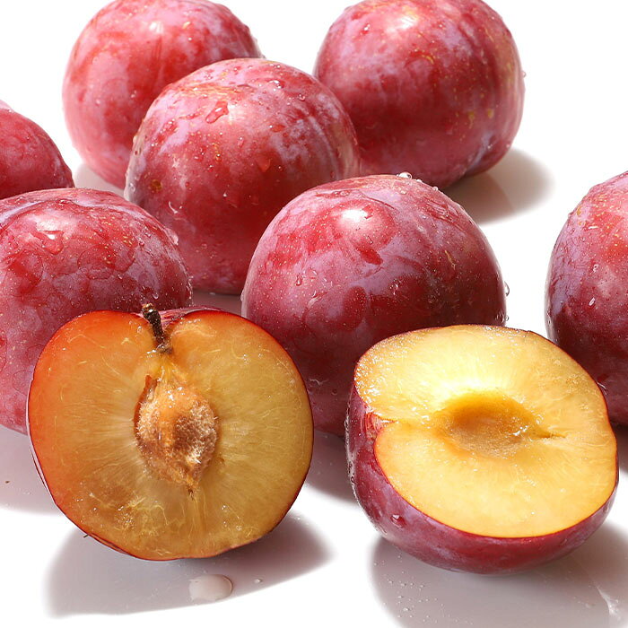 【ふるさと納税】山形産 すもも(秋姫) 約2kg(500g×4パック)【令和8年産先行予約】FU23-536くだもの 果物 フルーツ 山形 山形県 山形市 お取り寄せ 先行予約 2026年産 サムネイル2