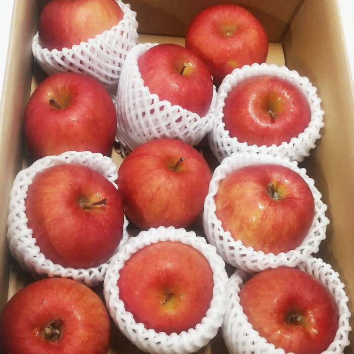 【ふるさと納税】【品種が選べる！】[家庭用]山形産 りんご 3kg (7〜12玉) fz23-594 自宅用 家庭用 訳あり りんご わけあり サムネイル2