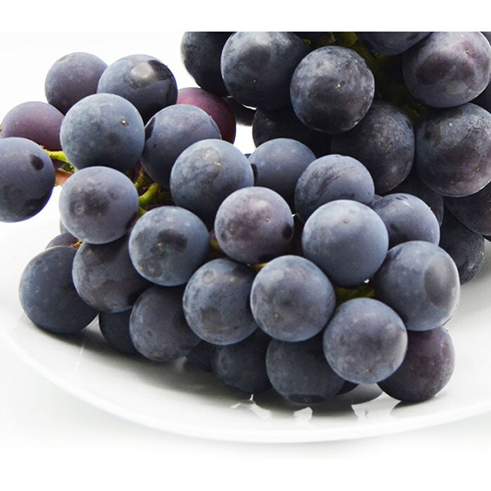 【ふるさと納税】【ご家庭用】山形のピオーネ 優品 約2kg(2〜6房)発送月を選べる【令和8年産先行予約】FS23-644くだもの 果物 フルーツ 山形 山形県 山形市 お取り寄せ 先行予約 2026年産 - 画像2