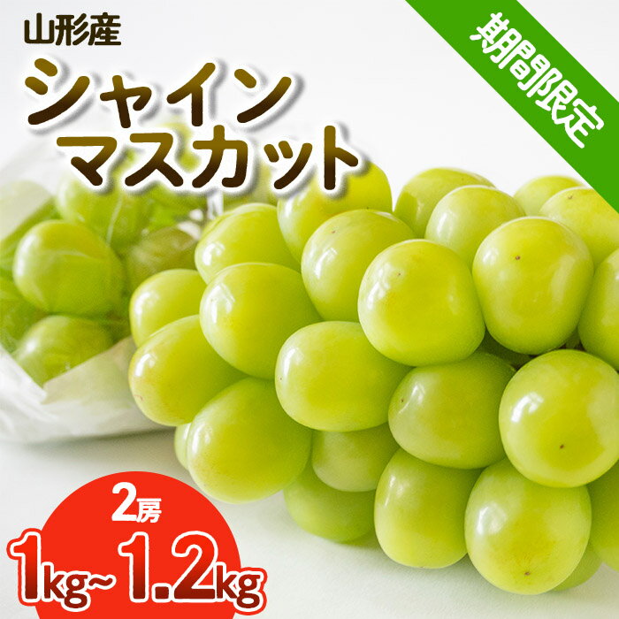 【期間限定】希少！冬のシャインマスカット 秀品 2房入り (1kg〜1.2kg) FY25-903
