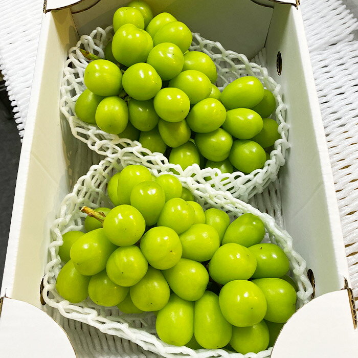 【ふるさと納税】【期間限定】希少！冬のシャインマスカット 秀品 2房入り (1kg〜1.2kg) FY25-903 サムネイル2
