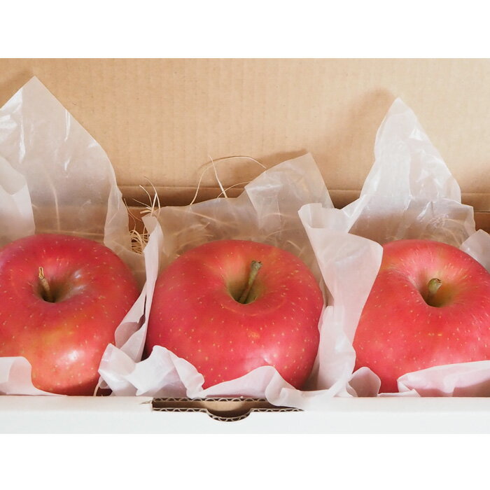 【ふるさと納税】山形美人便〜山形産りんごと熟成りんご酢〜 FY23-705 サムネイル3