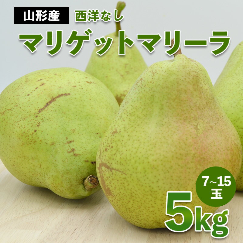山形市産 西洋なし(マリゲットマリーラ) 秀 5kg(7玉〜15玉)【令和8年産先行予約】FS23-729くだもの 果物 フルーツ 山形 山形県 山形市 お取り寄せ 先行予約 2026年産