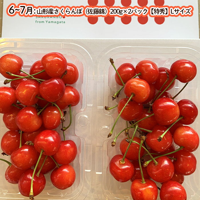 【ふるさと納税】【定期便5回】〜山形づくし！〜満腹定期便 FY23-700 サムネイル3