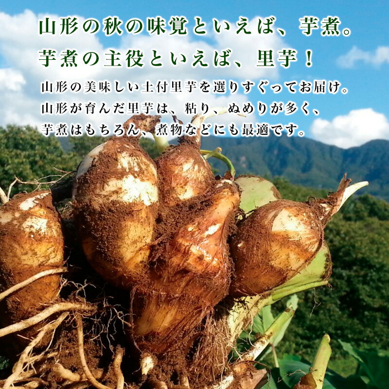 【ふるさと納税】[特選]山形名物 土付里芋 5kg fz23-137 サムネイル2