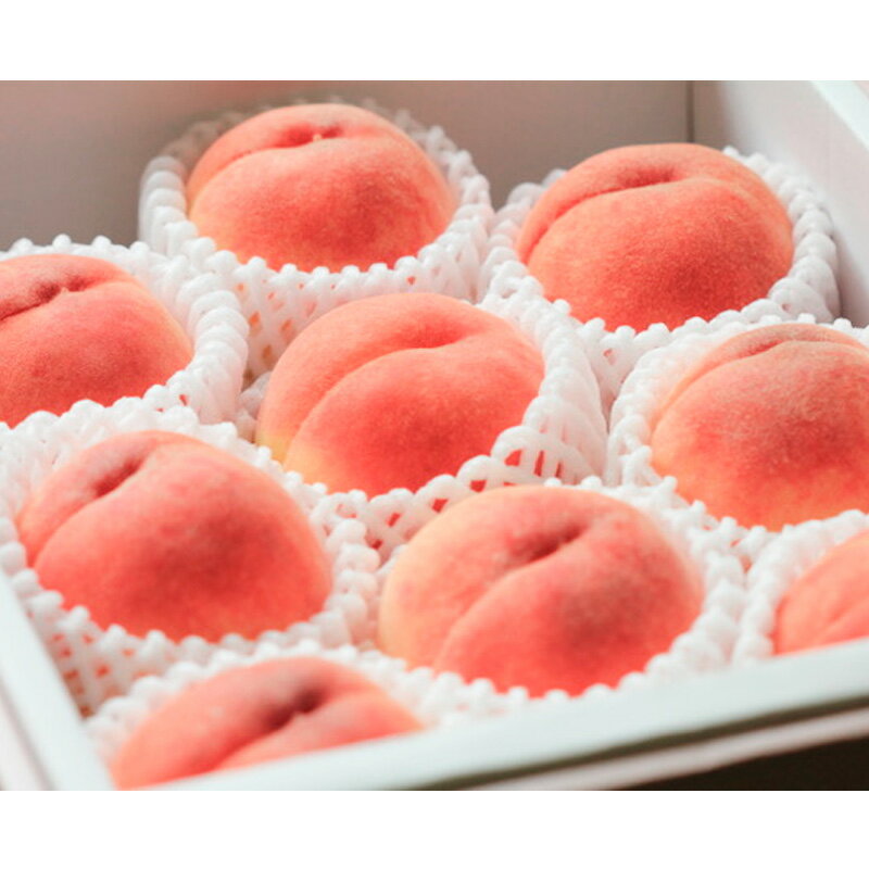 【ふるさと納税】【定期便2回】甘さぎっしり！山形やわらか果実の定期便 【令和8年産先行予約】FS24-013 くだもの 果物 フルーツ 山形 山形県 山形市 お取り寄せ 2026年産 サムネイル2