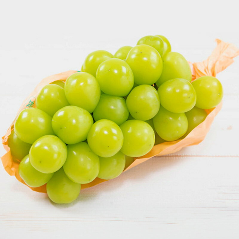 【ふるさと納税】【定期便4回】ノノハナフルーツ　食べ切りおすすめ定期便 FY25-811 サムネイル2