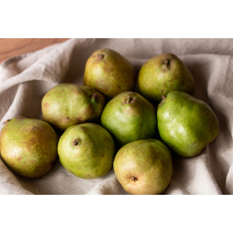 【ふるさと納税】【定期便4回】ノノハナフルーツ　食べ切りおすすめ定期便 FY25-811 サムネイル3