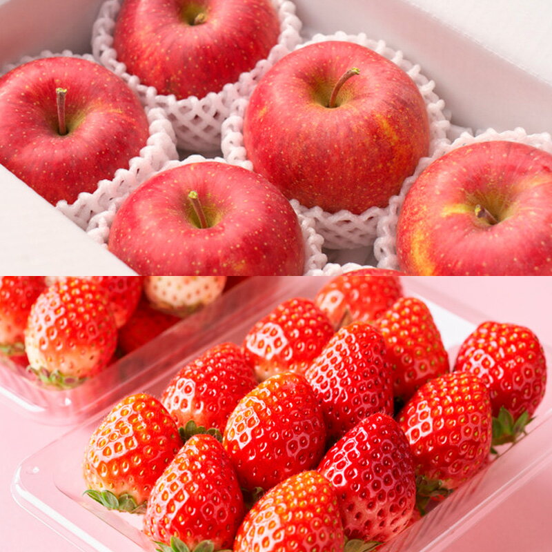 【ふるさと納税】【定期便5回】ノノハナフルーツ やまがた赤の定期便 FY25-812 サムネイル2