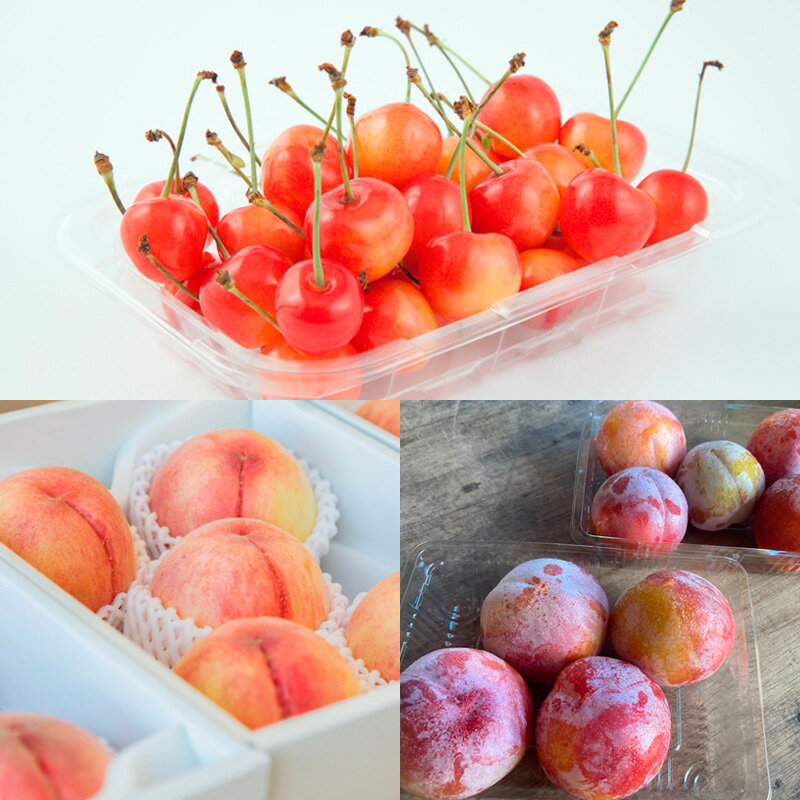 【ふるさと納税】【定期便5回】ノノハナフルーツ やまがた赤の定期便 FY25-812 サムネイル3