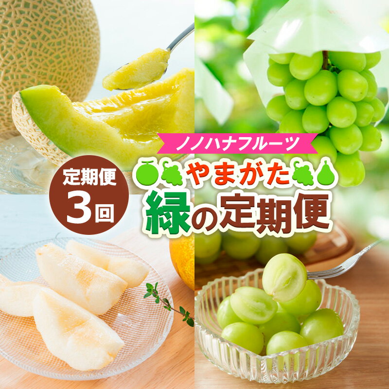 【定期便3回】ノノハナフルーツ やまがた緑の定期便【令和8年産先行予約】 FS24-016 くだもの 果物 フルーツ 山形 山形県 山形市 お取り寄せ 2026年産