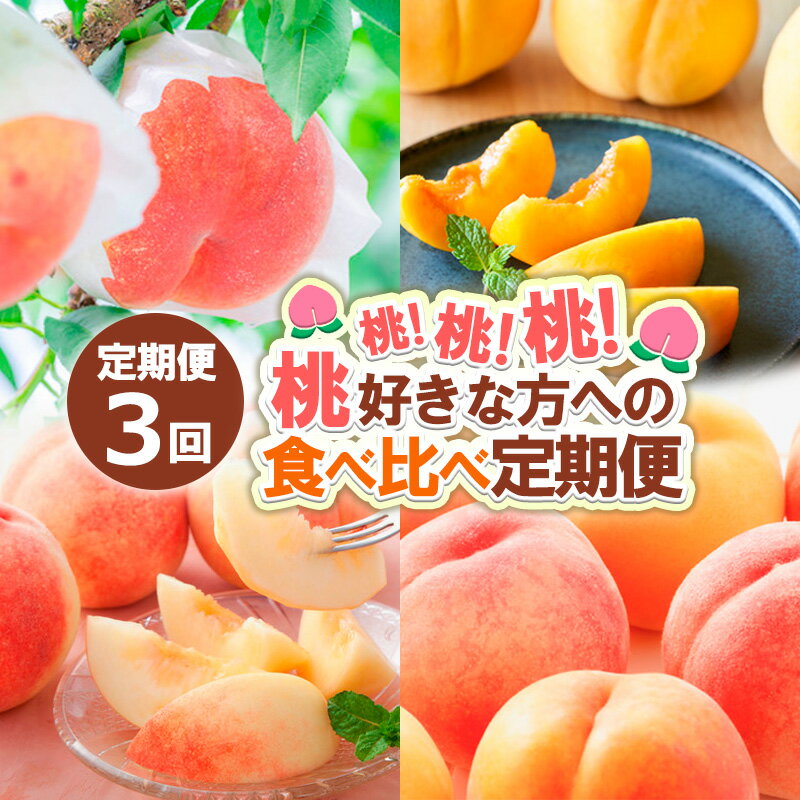 【定期便3回】桃！桃！桃！桃好きな方への食べ比べ定期便【令和8年産先行予約】 FS24-017 くだもの 果物 フルーツ 山形 山形県 山形市 お取り寄せ 2026年産