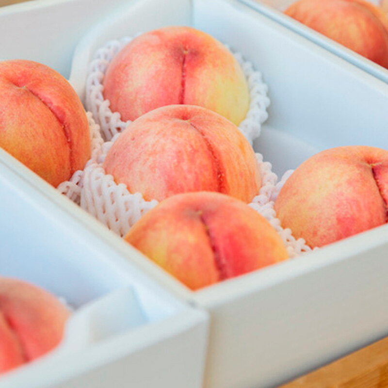 【ふるさと納税】【定期便3回】桃！桃！桃！桃好きな方への食べ比べ定期便【令和8年産先行予約】 FS24-017 くだもの 果物 フルーツ 山形 山形県 山形市 お取り寄せ 2026年産 サムネイル2