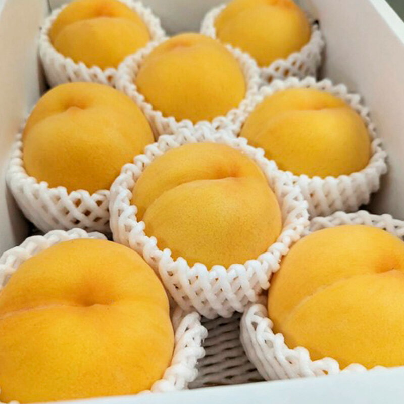 【ふるさと納税】【定期便3回】桃！桃！桃！桃好きな方への食べ比べ定期便【令和8年産先行予約】 FS24-017 くだもの 果物 フルーツ 山形 山形県 山形市 お取り寄せ 2026年産 サムネイル3