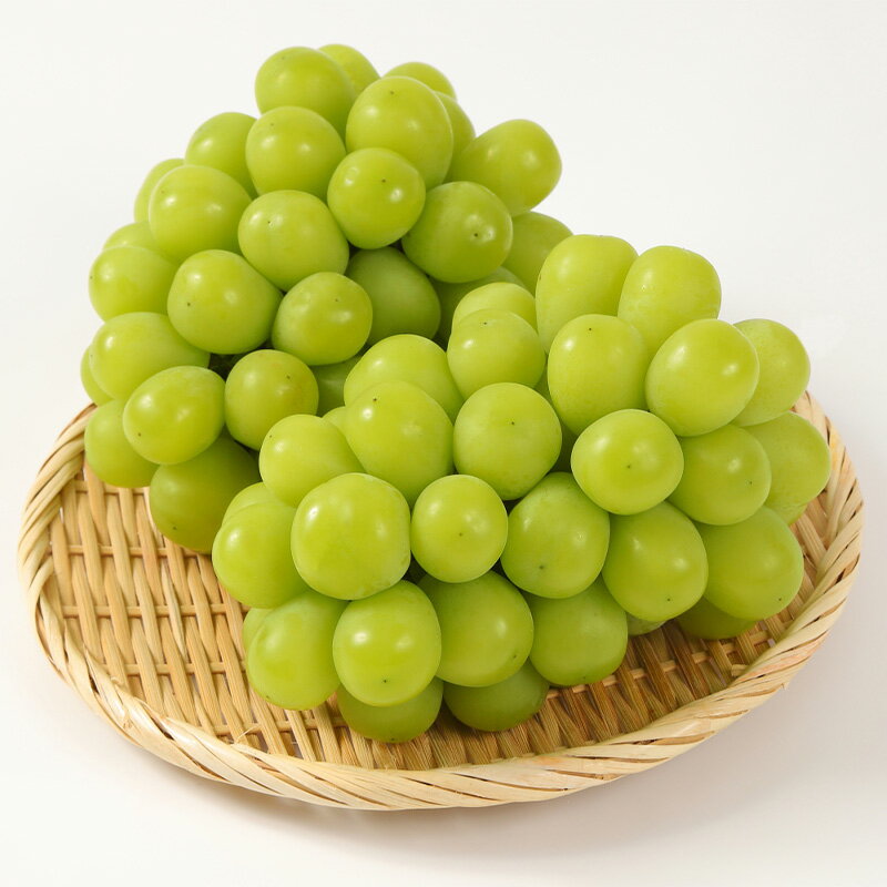 【ふるさと納税】【満足の2〜3房】こだわりのシャインマスカット 約1.2kg 山形市産 (9月中旬〜10月上旬順次発送)【令和8年産先行予約】 FS24-544くだもの 果物 フルーツ 山形 山形県 山形市 お取り寄せ 先行予約 2026年産 サムネイル2